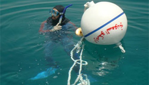 Buoys Protect Vital Coral Reefs