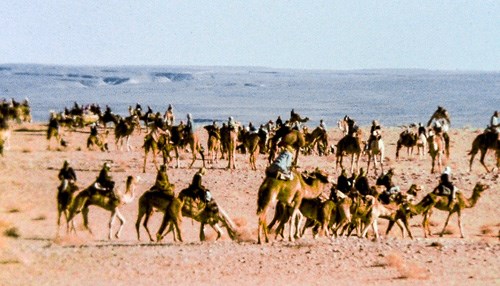 Sakakah Camel Race and Al-Jowf, Saudi Arabia - Chapter II
