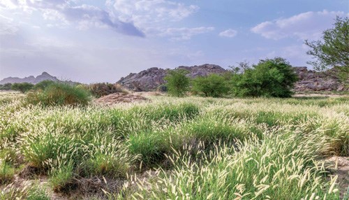 Abha's Internationally Significant Treasure