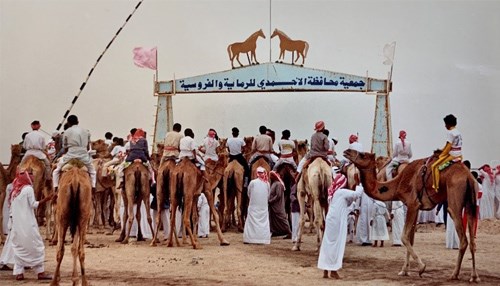 The Camel Races of Kuwait – A Photo Essay