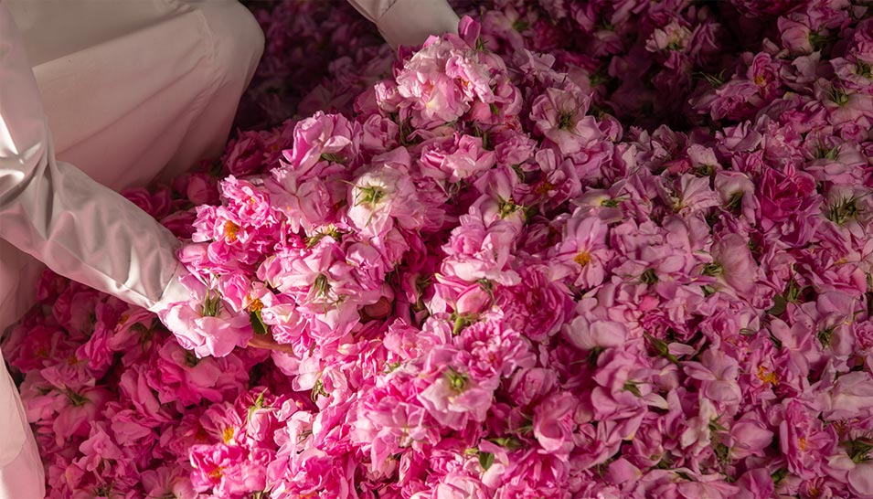 women-leading-and-working-in-the-flower-industry