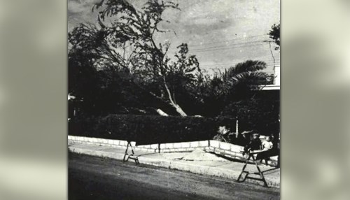 Gusty Winds Damage Trees, Roofs, Towers at Dhahran - 1957
