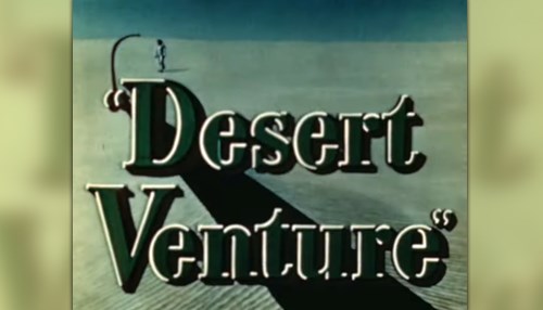 Desert Venture