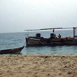 Ras Tanura fishing trip with Emir Salah - Overnight Pearling