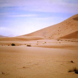 Rub' al Khali Dunes